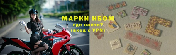 индика Семикаракорск