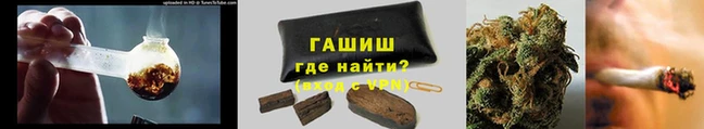 сатива Аркадак