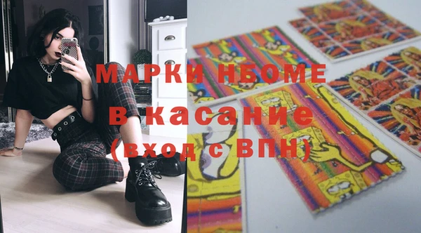сатива Аркадак