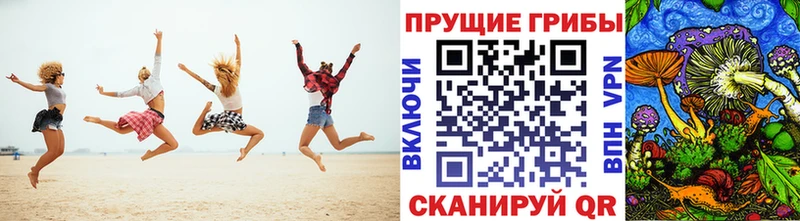 hydra зеркало  Южно-Сухокумск  Галлюциногенные грибы Psilocybine cubensis 