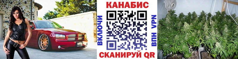 Канабис Bruce Banner Южно-Сухокумск